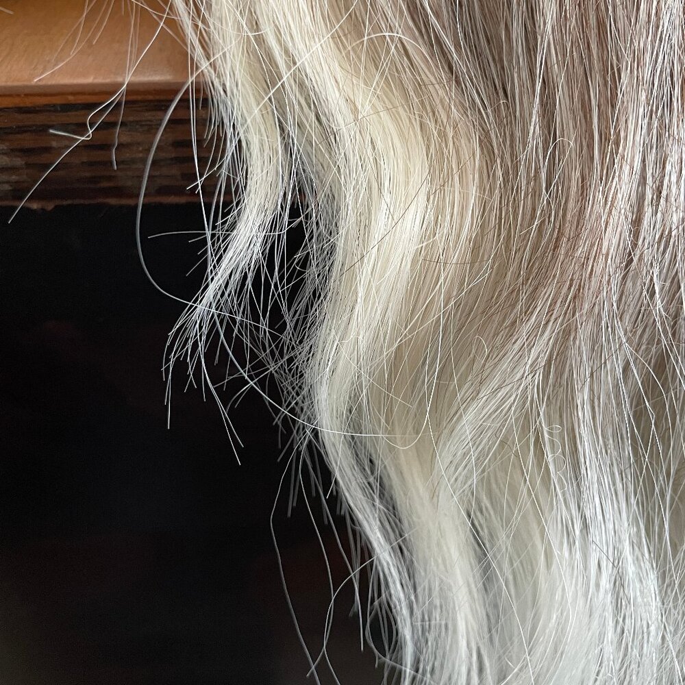 Chelsey Smith CSC Cloud Wig - Gray-Blonde Blend w roots - Picture 10 of 14